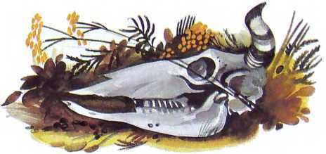 Семейный экипаж - i_014.jpg