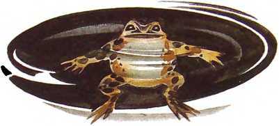 Семейный экипаж - i_016.jpg