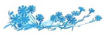 Семейный экипаж - i_031.jpg