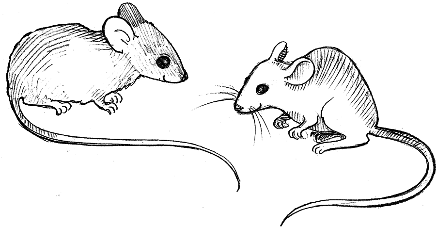 Волшебник с пятачком - i_002.png