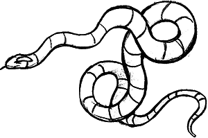 Волшебник с пятачком - i_009.png