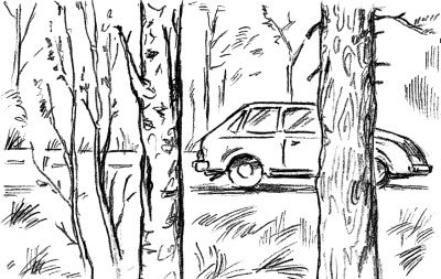 Простофилей быть непросто - i_002.jpg