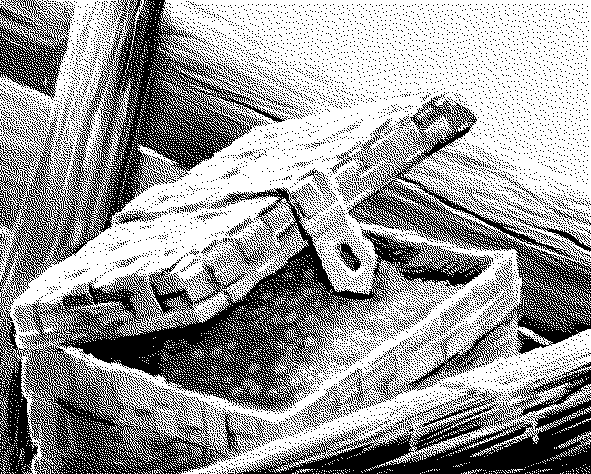 Хонорик  - таежный сыщик - konc.png