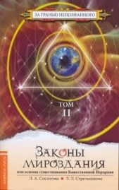 ЗАКОНЫ МИРОЗДАНИЯ или основы существования Божественной Иерархии Том 2 - автор Стрельникова Людмила Л. 