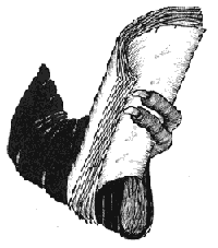 Город Мечтающих Книг - i_013.png