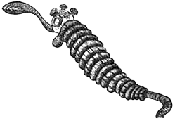 Румо и чудеса в темноте. Книга I - _11_instrumg.png