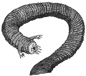 Румо и чудеса в темноте. Книга I - _14_instrumj.png