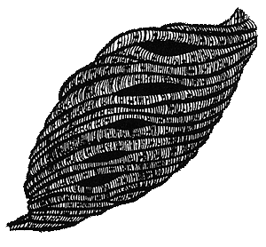 Румо и чудеса в темноте. Книга II - _5_in2.png