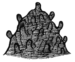 Румо и чудеса в темноте. Книга II - _7_in4.png