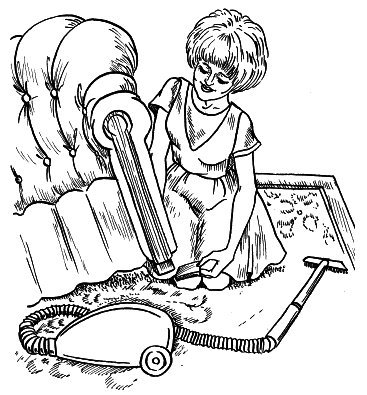 Полная энциклопедия молодой хозяйки - i_006.png