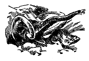 Пещера чудовищ - i_011.png