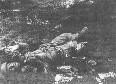 100 дней в кровавом аду. Будапешт — «дунайский Сталинград»? - i_115.jpg