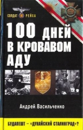 100 дней в кровавом аду. Будапешт — «дунайский Сталинград»? - автор Васильченко Андрей Вячеславович 