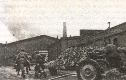 Последняя крепость Рейха - i_014.jpg