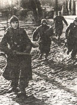 Последняя крепость Рейха - i_015.jpg