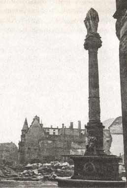 Последняя крепость Рейха - i_028.jpg