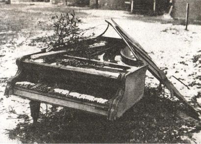 Последняя крепость Рейха - i_029.jpg