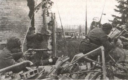 Последняя крепость Рейха - i_053.jpg