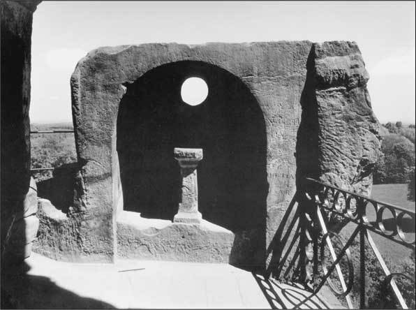 Стоунхендж Третьего рейха - i_016.jpg