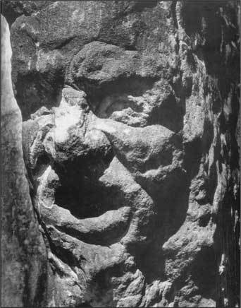 Стоунхендж Третьего рейха - i_053.jpg