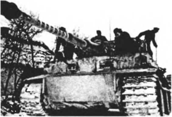 Танковый ас №1 Михаэль Виттманн - image66.jpg