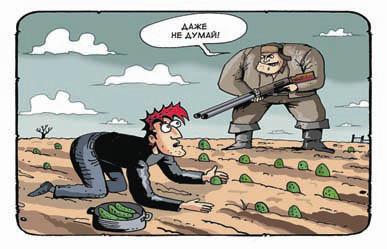 Кулинарная книга Плюшкина, или Как приготовить все практически из ничего - i_006.jpg