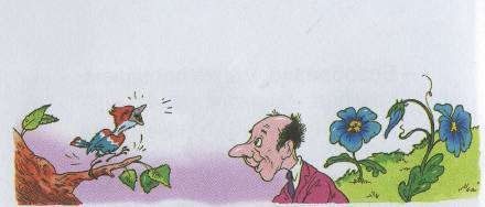 Разноцветный жираф - _4.jpg