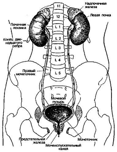 Шокирующая правда о воде и соли - any2fbimgloader16.jpeg