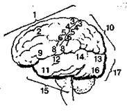 Шокирующая правда о воде и соли - any2fbimgloader27.jpeg
