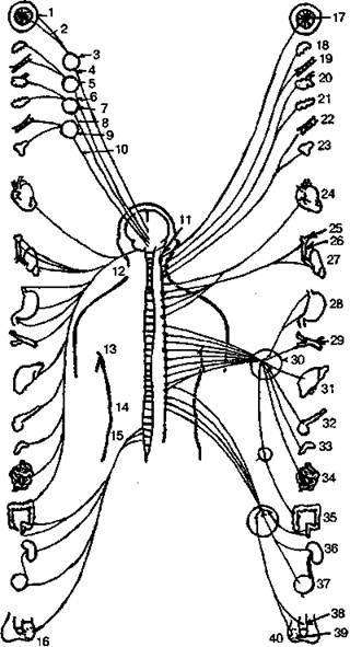 Шокирующая правда о воде и соли - any2fbimgloader5.jpeg
