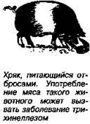 Шокирующая правда о воде и соли - any2fbimgloader52.jpeg