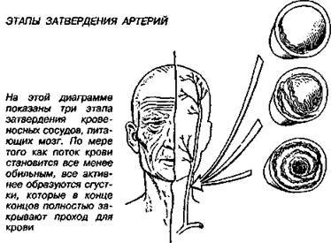 Шокирующая правда о воде и соли - any2fbimgloader53.jpeg