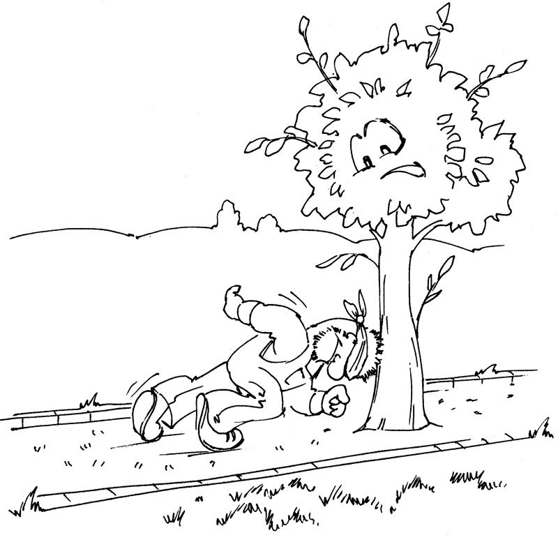 Ваш сад: как добиться максимального урожая = Садовая смекалка - i_002.jpg