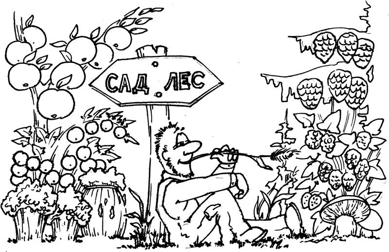 Ваш сад: как добиться максимального урожая = Садовая смекалка - i_007.jpg