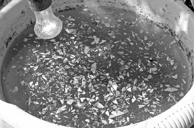 Как избавиться от вредителей и болезней, не навредив себе - i_006.jpg