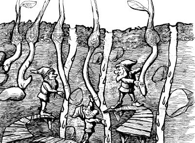 Как избавиться от вредителей и болезней, не навредив себе - i_012.jpg