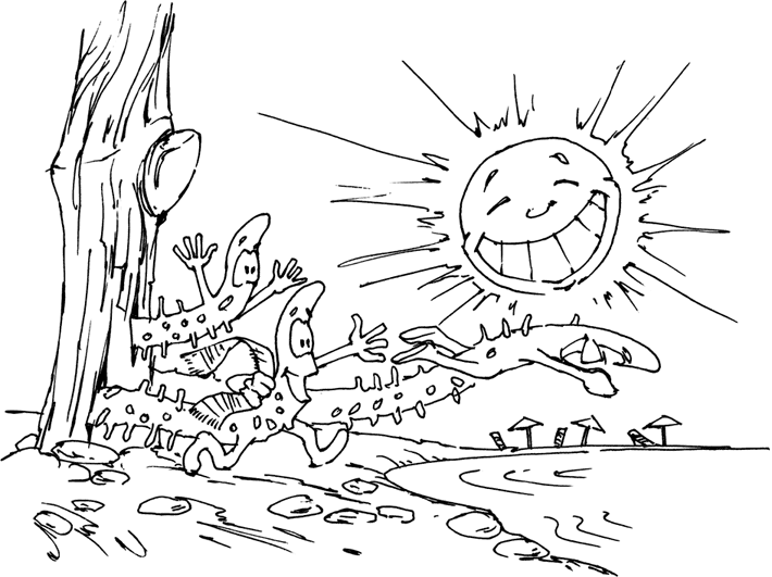 Новейшая энциклопедия выращивания винограда - _10.png