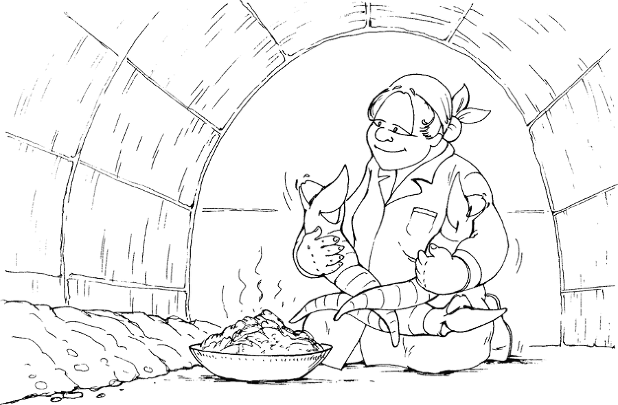 Самая полная энциклопедия по саду и огороду - _13.png