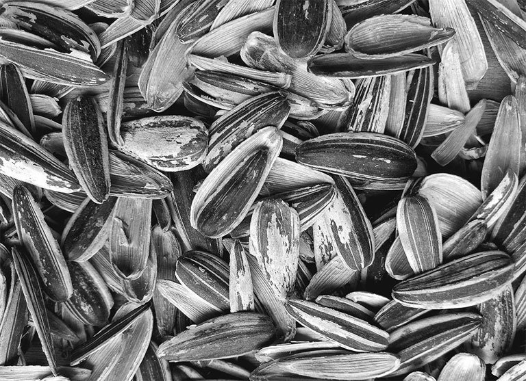 Самая полная энциклопедия по саду и огороду - _17.jpg