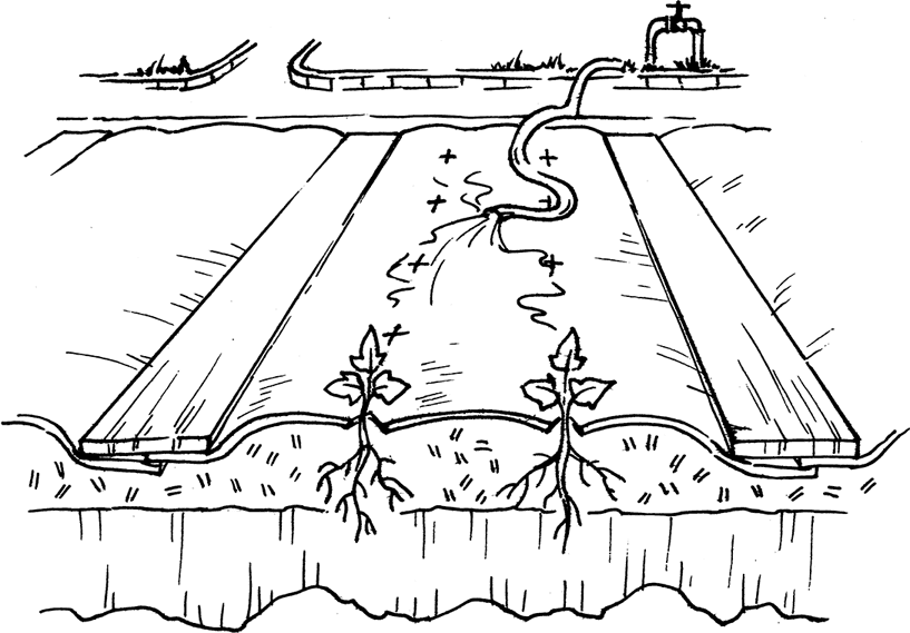 Самая полная энциклопедия по саду и огороду - _19.png