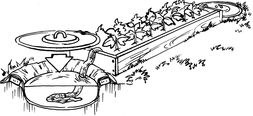 Самая полная энциклопедия по саду и огороду - _29.png