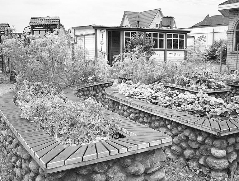 Самая полная энциклопедия по саду и огороду - _39.jpg