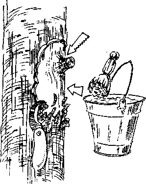 Умный сад в подробностях - _87.jpg