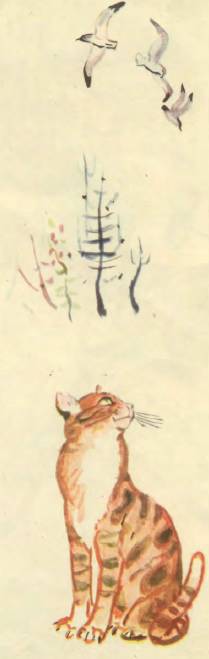 Медвежонок Васька - _11.jpg