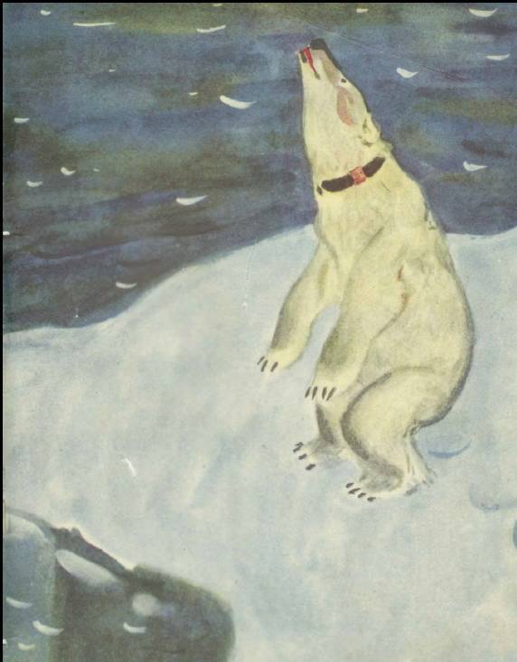 Медвежонок Васька - _18.jpg