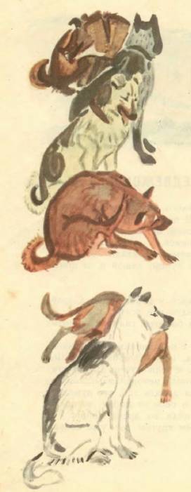 Медвежонок Васька - _3.jpg