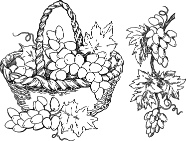 Большая энциклопедия виноградаря - _2.png