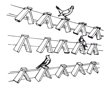 Все о голубях. Лечение, кормление, разведение, содержание - i_023.png