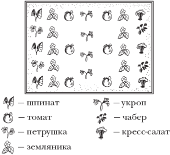 Огород. Как получить сверхурожай - _07.png