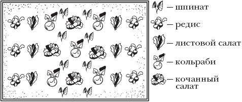 Огород. Как получить сверхурожай - _08.png